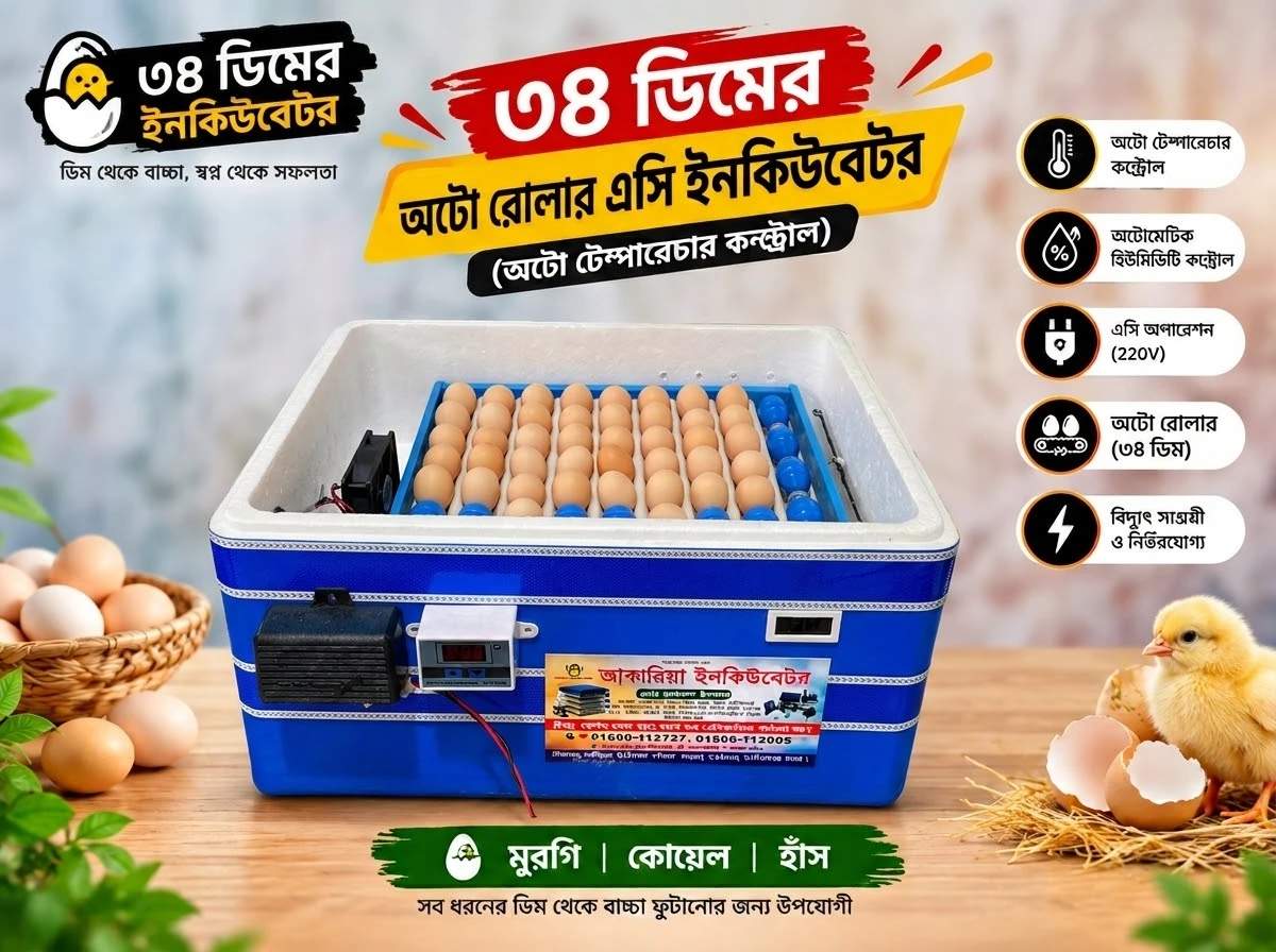 ৩৪ ডিমের অটো রোলার এসি ইনকিউবেটর